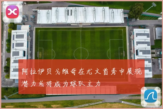 阿拉伊贝戈维奇在尤文首秀中展现潜力或将成为球队主力